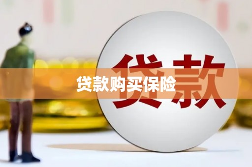 祁阳贷款购买保险