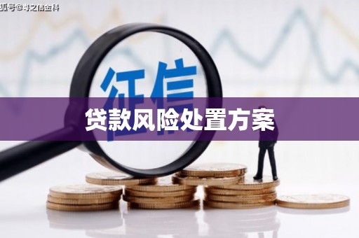 祁阳贷款风险处置方案