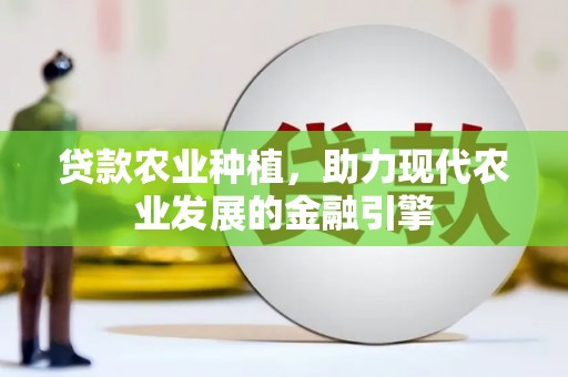 祁阳贷款农业种植，助力现代农业发展的金融引擎