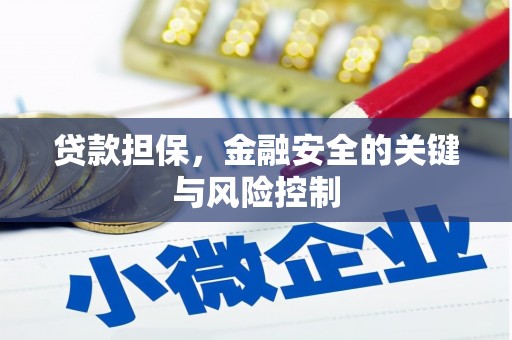 祁阳贷款担保，金融安全的关键与风险控制