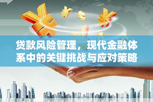 祁阳贷款风险管理，现代金融体系中的关键挑战与应对策略
