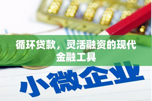 祁阳循环贷款，灵活融资的现代金融工具
