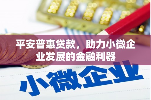 祁阳平安普惠贷款，助力小微企业发展的金融利器