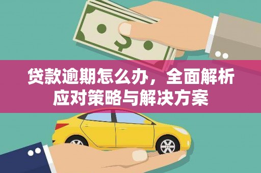 祁阳贷款逾期怎么办，全面解析应对策略与解决方案